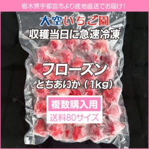 frozen-aika-1kg-80