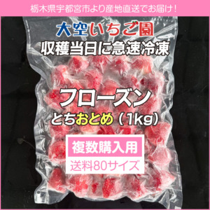 frozen-otome-1kg-80